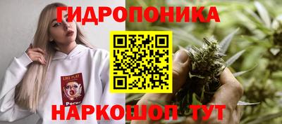 spice Донской