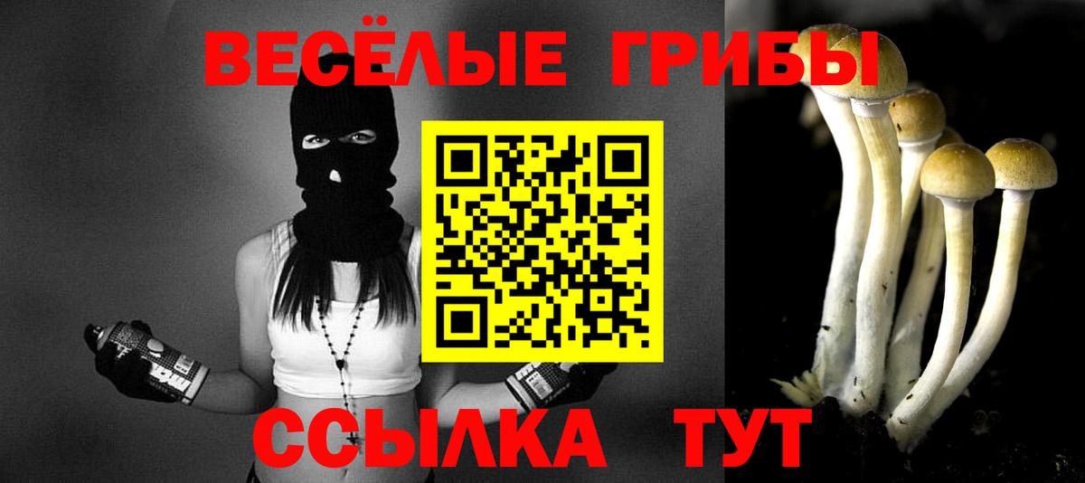 Коммунар  Галлюциногенные грибы прущие грибы  как найти   Вход с VPN 
